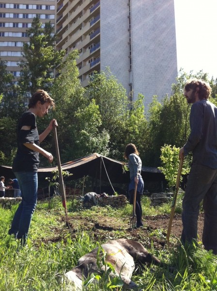 Diaporama La ferme dans le béton - La convivialité | Amélie Roux