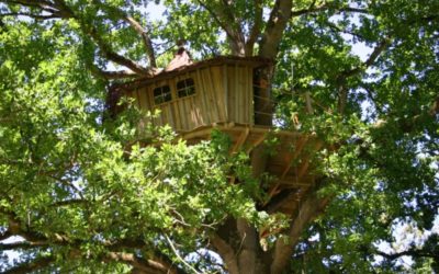 Diaporama La cabane dans le ciel - Dans les branches l La cabane en l'Air